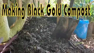 making black gold compost at home    #homecomposting #composting  #soilhealth #soil #soilenrichment