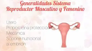 Sistema Reproductor y Embriolog&iacute;a Comparada.
