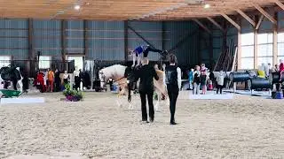 Equestrian Vaulting Freestyle - Beginner