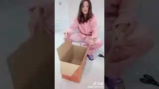 DIY 紙箱做恐龍裝