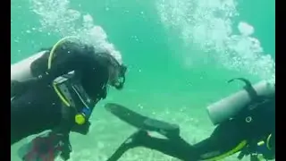 In search of Atlantis