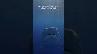 HERO of the ocean 🦈 #sharks #apexpredator #heroes #ocean #conservation #sharkdiving #hawaii #a
