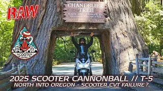 2025 Scooter Cannonball // T-5: Riding the Avenue of the Giants
