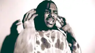 Roe Summerz - Survive Official Visualizer