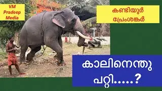 കണ്ടിയൂർ പ്രേംശങ്കർ മുൻകാലിന് എന്തു പറ്റി?@VMPRADEEP #keralaelephant#kandiyoorpremshanker#elephant 