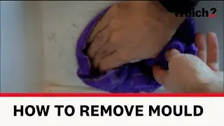 How to remove mould - Which?