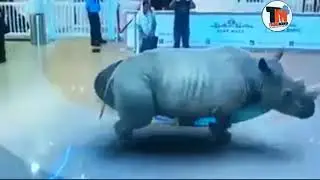 7D hologram technology