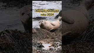 Nejlep&scaron;&iacute; fotomobil roku 2024? Kter&yacute; tedy vede!