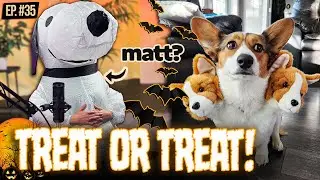 The Best Dog Halloween Costumes Of All Time!