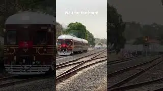 TRAINS Rail Motors in Adelaide #trains #railway #train #viral #australiantrains #adelaide #steam