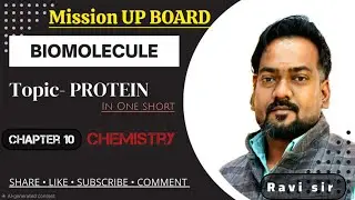 Protein (one short)  #chemistry #protein #isoelectricpoint #biomolecule #fyp #fypシ 
