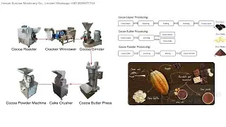 Processing Equipment Shea Nut Cacao Cocoa butter Oil Fat Extraction Extractor Press Machine