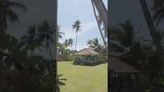 Sri Lanka Dance Healing retreat #motivation #dancehealing #innerseed #retreats #dance
