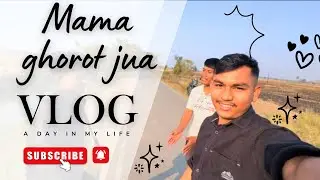 বিহু বুলি অলপ ওলায় আহিলো ॥😍💕আজি কালিৰ পোৱালি বোৰ কি যে হব 😂॥ #assamesevlogger  #kotusvlogs #vlog 