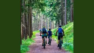Mit daemm Fahrrad durch die Palz