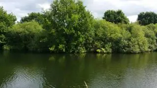Whisby national park