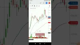 Prince Pipes Stock Analysis Daily Weekly Monthly 👍