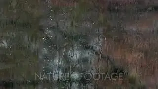 Rain drops sliding down the window glass. Water drops. Macro view