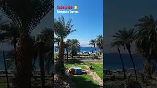 Welcome to Red Sea Aqaba &bull; Jordan #travel #explore #love #nature #sea #jordan #israel #diving #viral