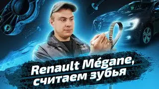 Замена ремня ГРМ и водяного насоса на Renault Megane 4