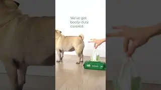 Earth Rated Dog Wipes Are Here to Help