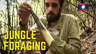 Foraging + Eating BAMBOO in the JUNGLE |Laos 2021|