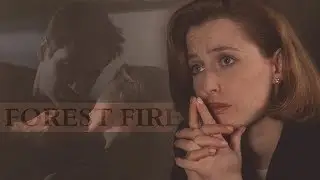 Mulder & Scully | Forest Fire [25 Years]