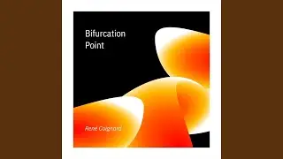 Bifurcation Point