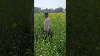#village #viralvideo #villagevloger