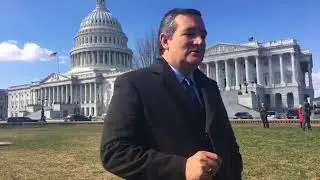 Sen. Cruz Opposes an Internet Sales Tax - March 13, 2018