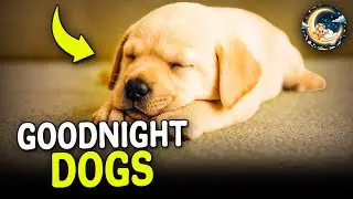 Relaxing Dog Bedtime Story for Kids | Good Night Dogs Adventure