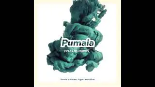 Equilibrio - Pumaia &middot; Bres403