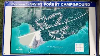 Swift Forest Camp Washington