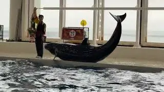 20260102大洗水族館02
