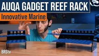 Store Your Coral Frags Securely And Expand As They Grow! Innovative Marine ReefRack Frag Rack.