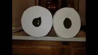 Charmin Ultra Strong Toilet Paper (Old)