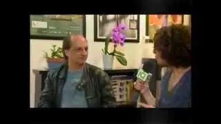 Anita Aloisio from 