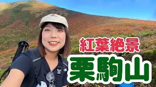 【50代母と】東北の紅葉を見に栗駒山へ！まさに神の絨毯だ〜！