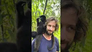 Meeting orphaned monkeys in the Amazon rainforest #deforestation #climatechange #rainforest #amazon