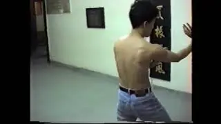 Free chi sau in Wong Shun Leung Hong Kong school. Anthony Fong. Ving Tsun.