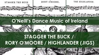 DMOI115-117 Stagger the Buck/Rory O'More/Highlander (Jigs on Irish tenor banjo)
