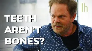Lifehacker vs. Rainn Wilson | Interview & Trivia