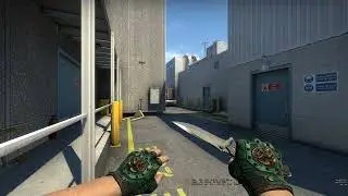 CS:GO BROKEN FANG GLOVES JADE WELL-WORN | SKIN SHOWCASE