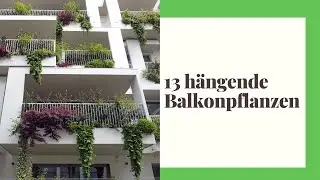 13 h&auml;ngende Balkonpflanzen - Die sch&ouml;nsten Arten f&uuml;r Balkon und Terrasse
