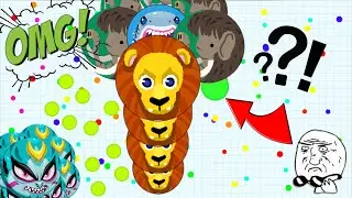 Agar.io |  SICKEST PRESPLIT EVER |  Gameplay Highlights Piedry and YGR