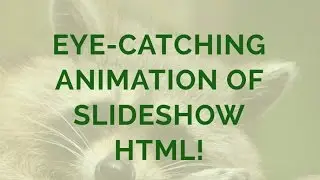 Eye-catching Animation of Slideshow HTML!