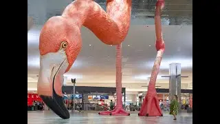 HOME - a $520,000 project at Tampa International Airport by Matthew Mazzotta