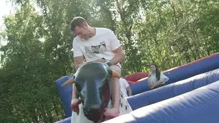 Rodeo okse til leie i Oslo