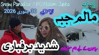 Heavy Snowfall at PC Malam Jabba Hotel | مالم جبه برف میں ڈوبا | Facilities Available for Tourists