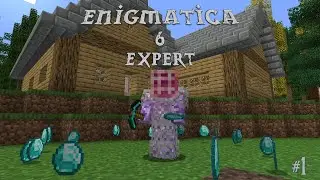 Enigmatica 6 Expert | A Great Start | Ep 1